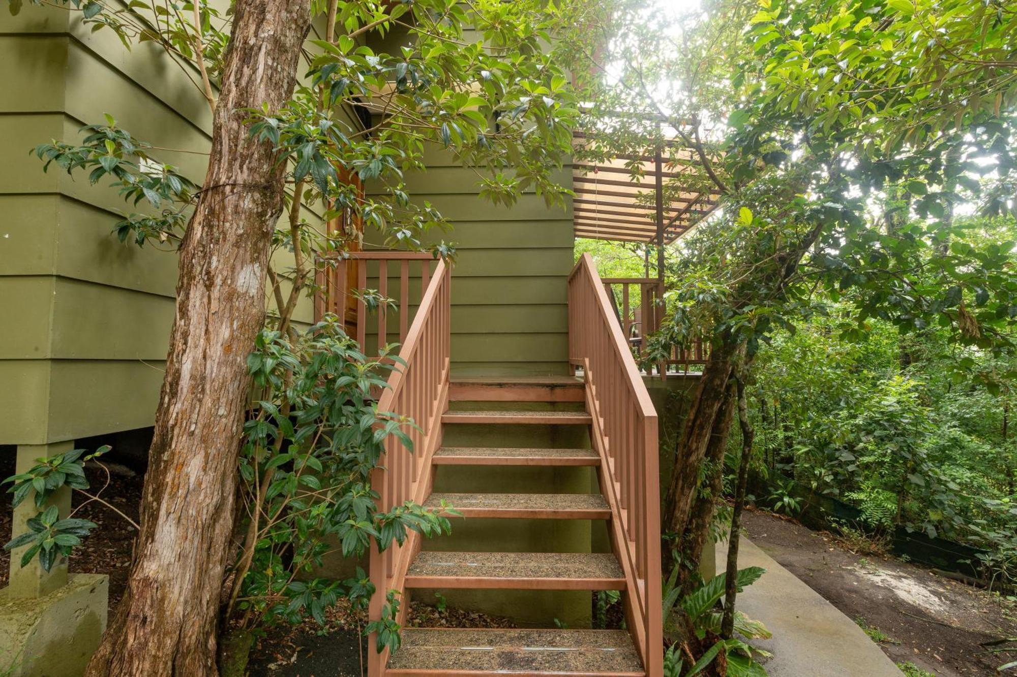 Casas Clusia Daire Monteverde Dış mekan fotoğraf