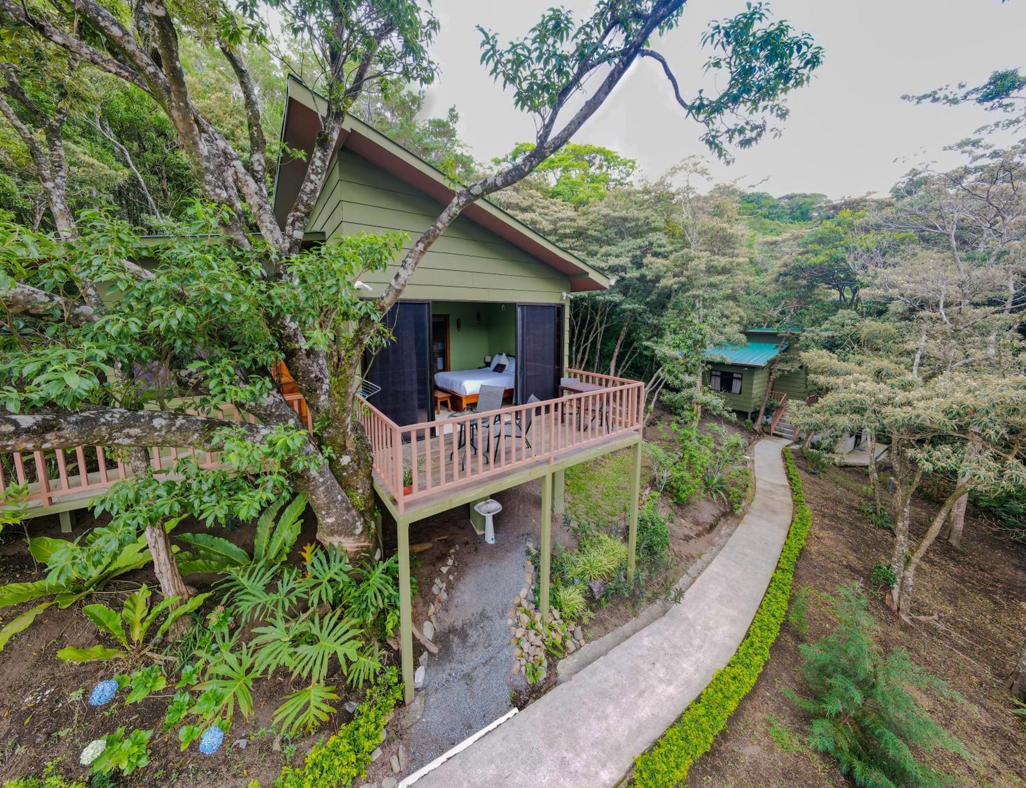 Casas Clusia Daire Monteverde Dış mekan fotoğraf
