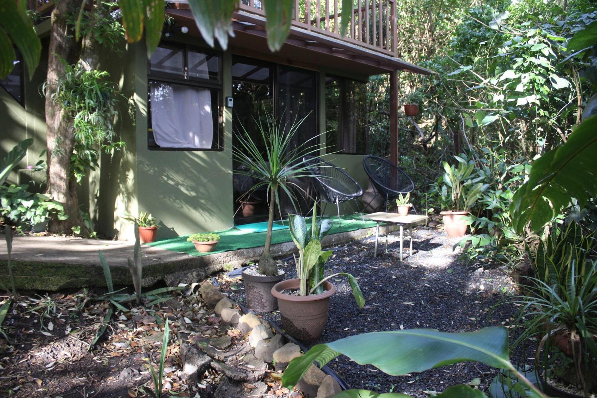 Casas Clusia Daire Monteverde Dış mekan fotoğraf